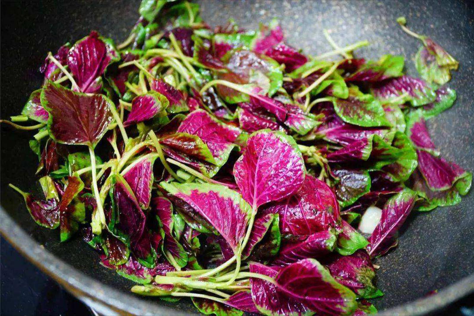 初夏五月吃这些蔬菜就够啦,五月吃什么菜推荐几种应季蔬菜