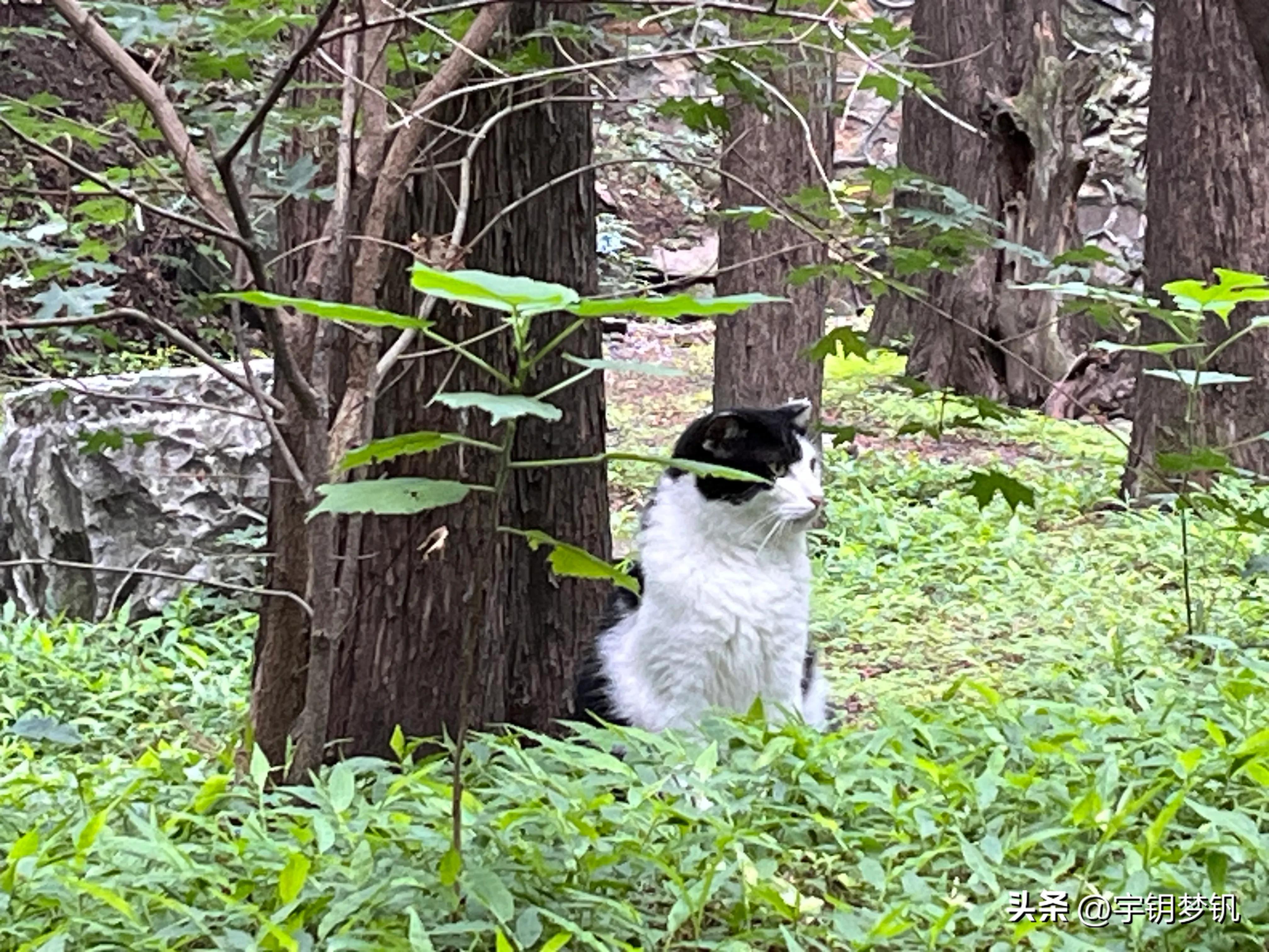 这天爬泰山要穿什么,这天爬泰山