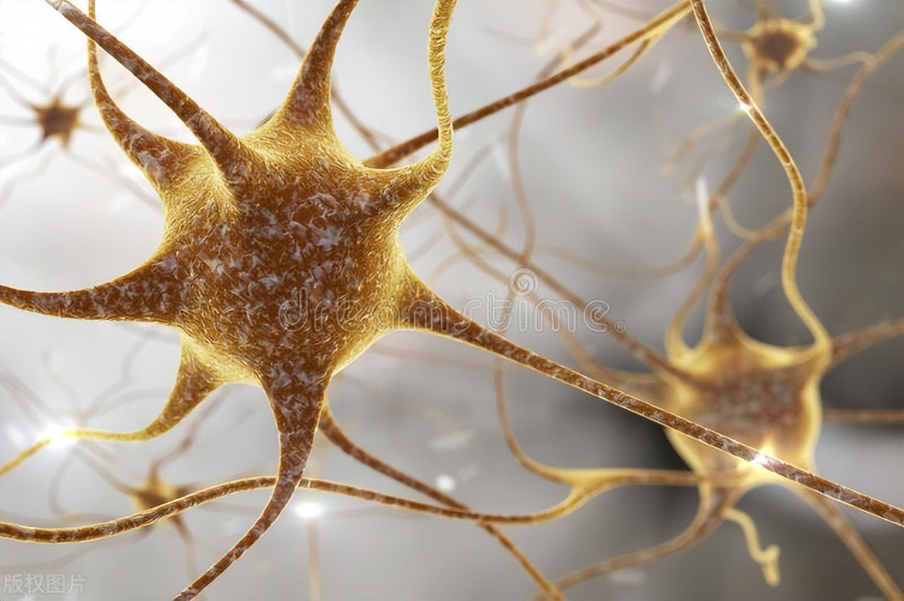 22岁少女脑死亡,脑死亡还有生存的机会吗?如何保护脑死亡患者?