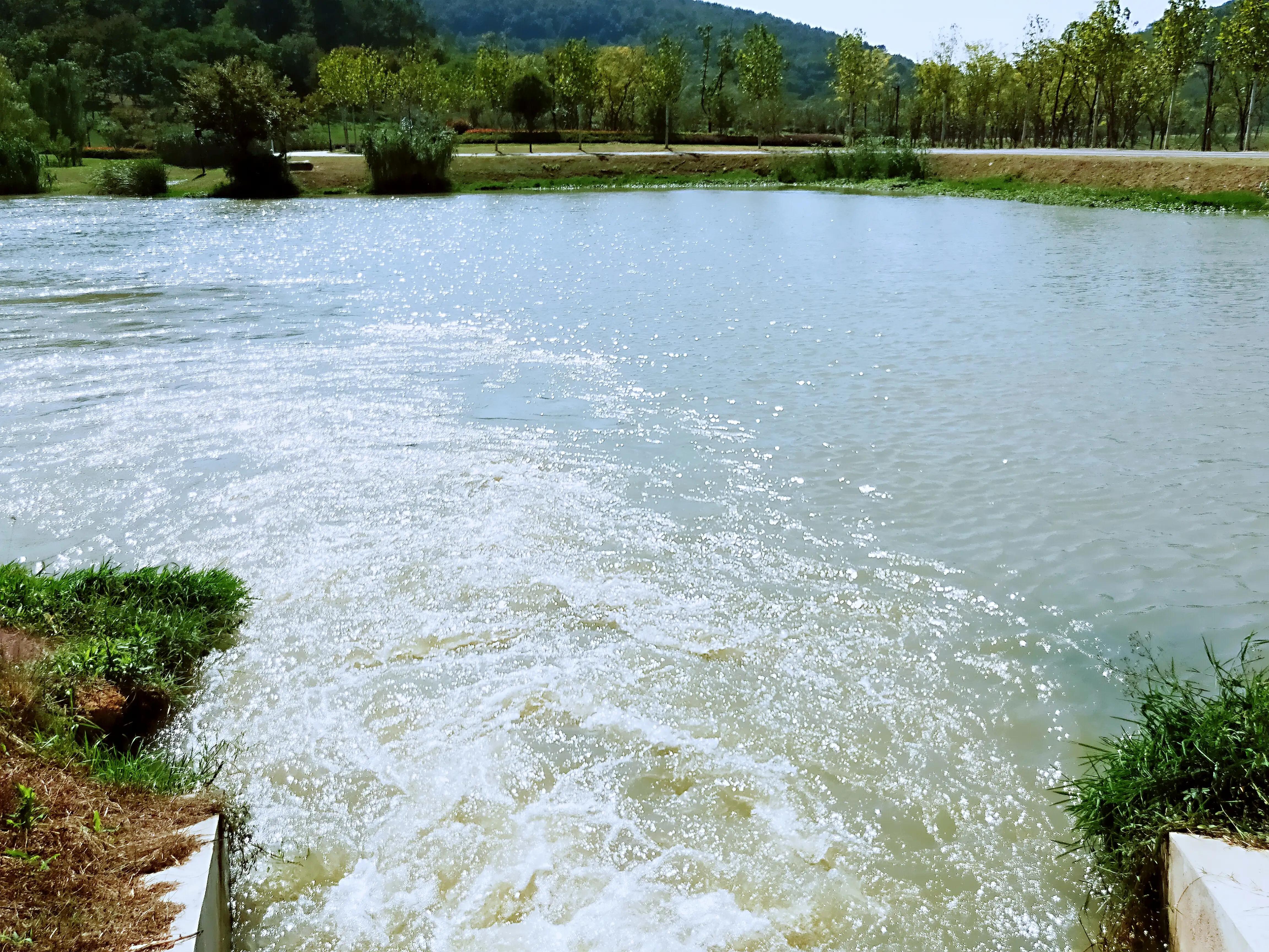 溧水无想山民宿预订,南京溧水无想山露营地点