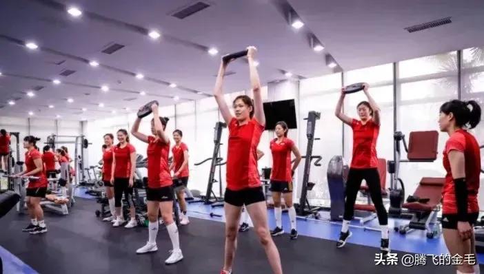 本届女排阵容讨论,中国女排与土耳其的技战术分析