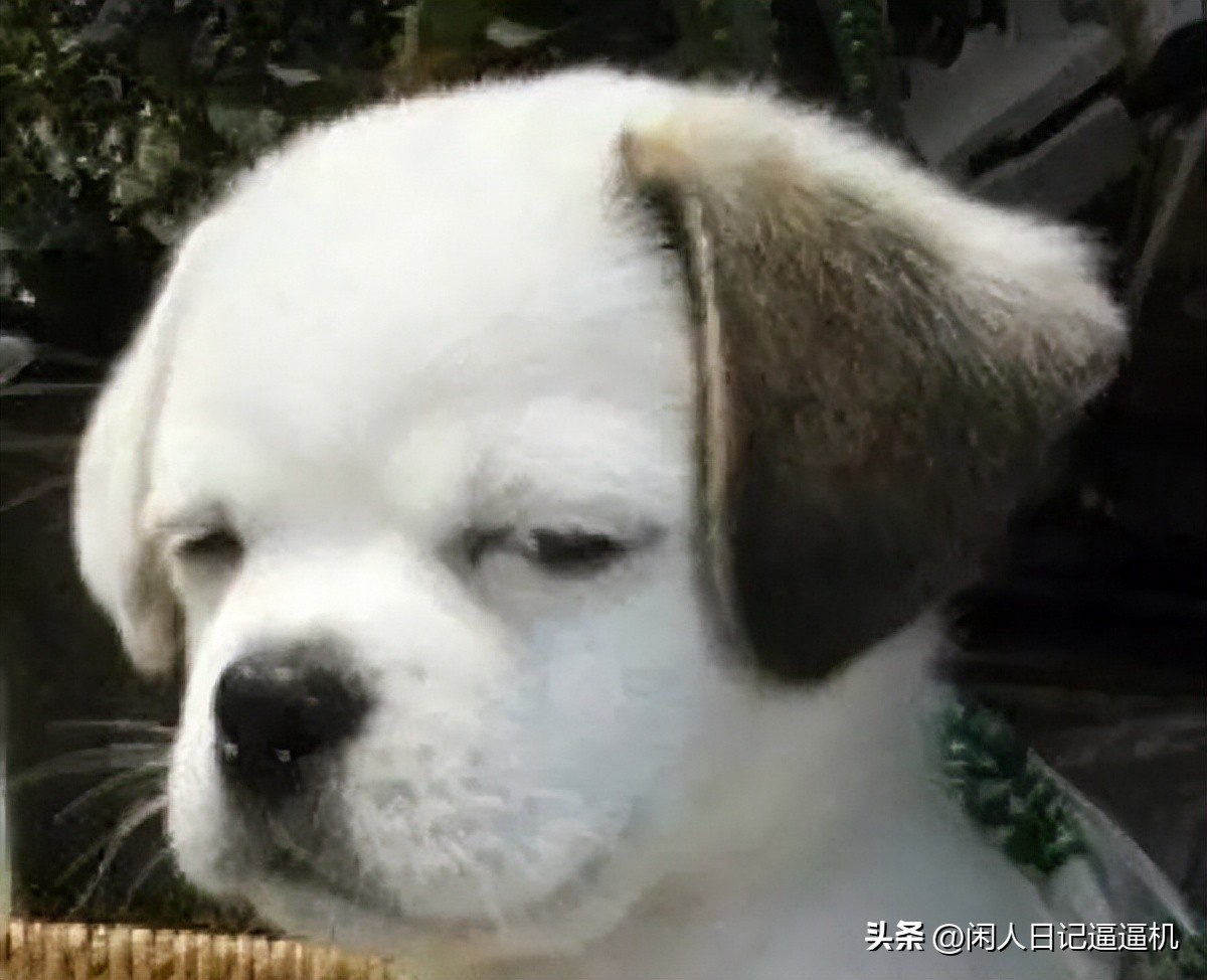 这一人设潦倒无数女孩：钻井工程师*局骗**！（建议女性认真看完）