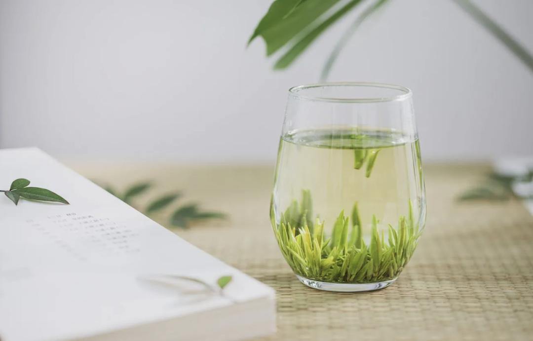 竹叶青和八马，喝了口茅台掉进小罐茶的陷阱里