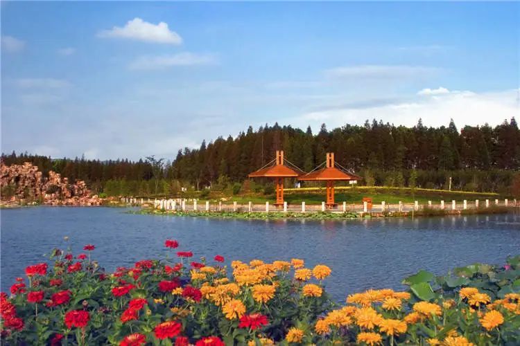 苏州旅游团七日游,苏州旅游团1日游