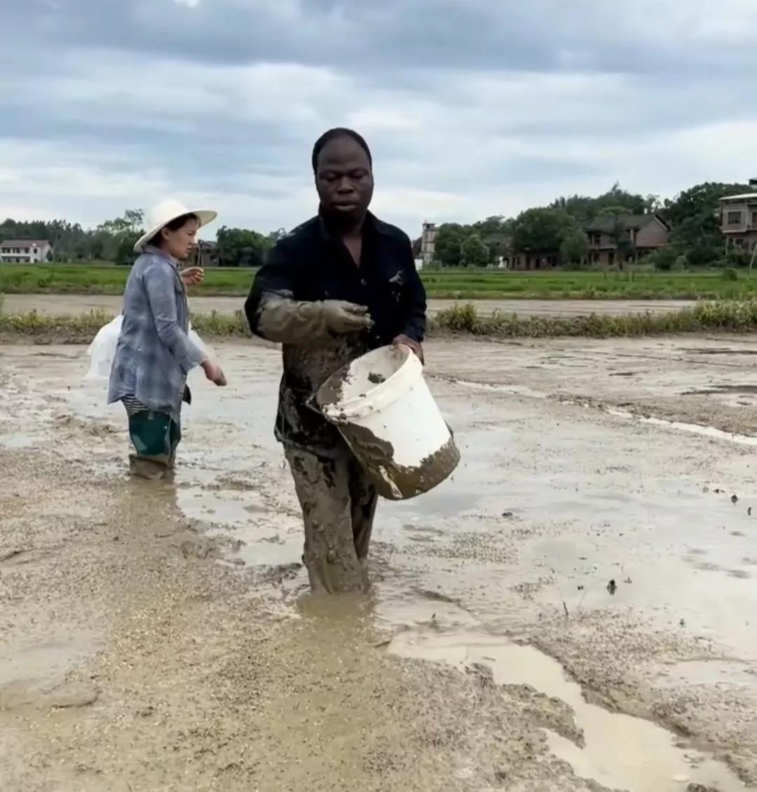 非洲小伙“嫁”给湖南姑娘，用湖南话吵架，比农村大妈还厉害