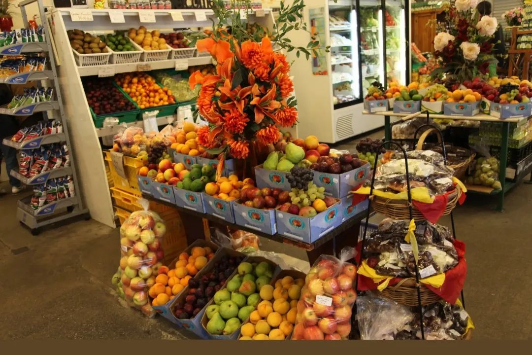 写给不被疫情束缚的心:用文字“云”游新西兰全境