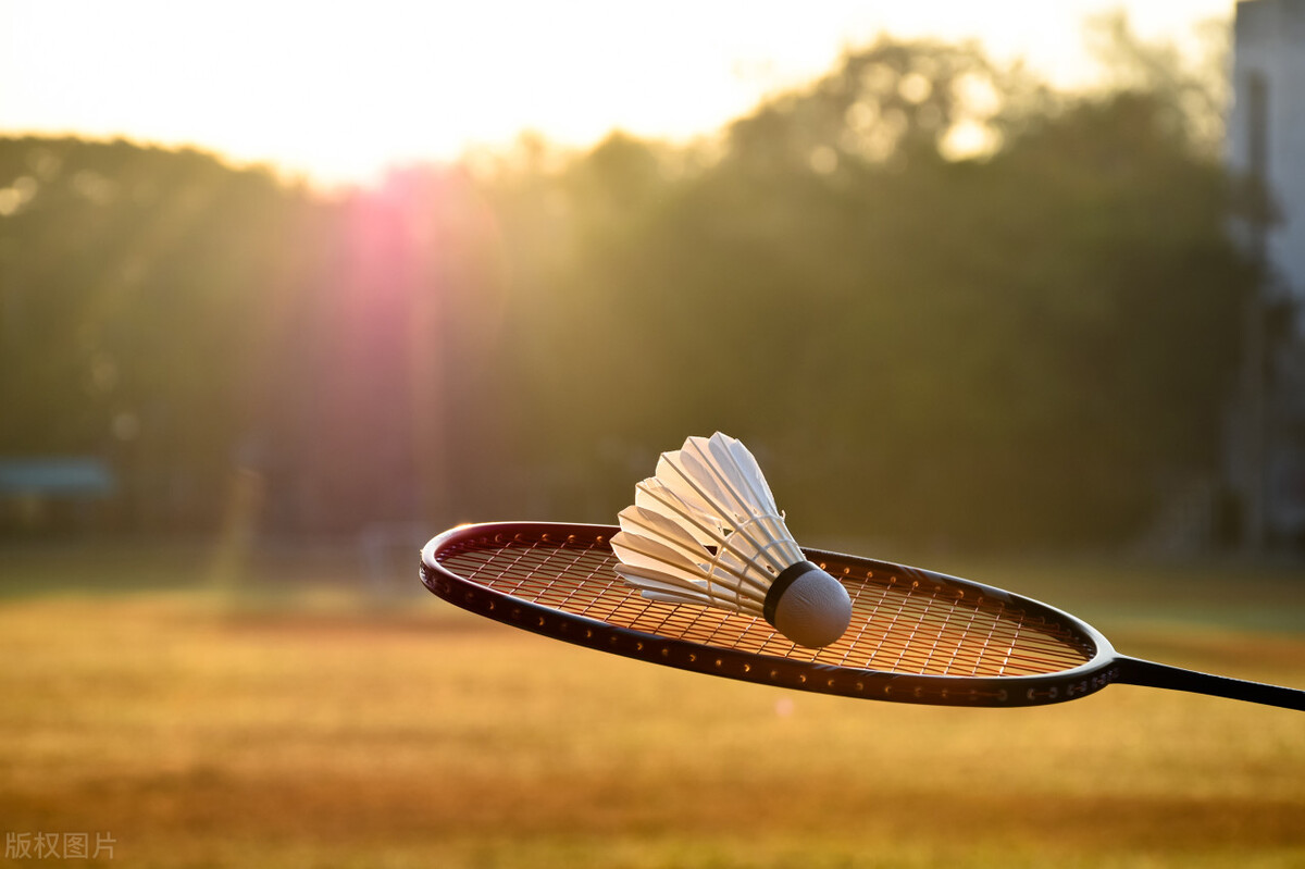 尤尼克斯羽毛球拍有哪些,尤尼克斯羽毛球拍专业讲解