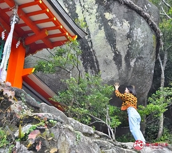 和歌山12月游玩,和歌山去奈良