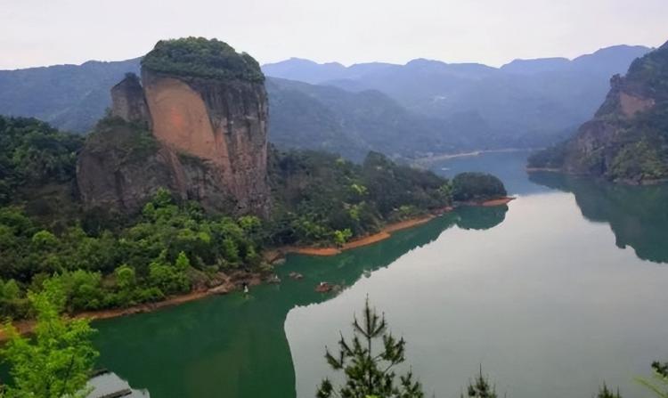 这十种花会招来鬼家里千万别养,家里养3种花忌讳