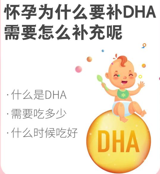 怀孕为什么要补DHA？需要怎么补充呢？