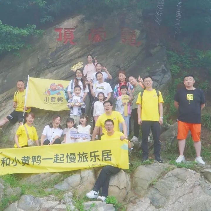 今日热门小黄鸭,小黄鸭正能量每日更新