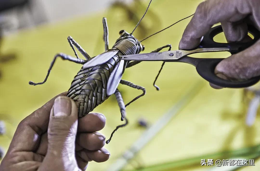 邂逅香城，在新都必做的50件小事~