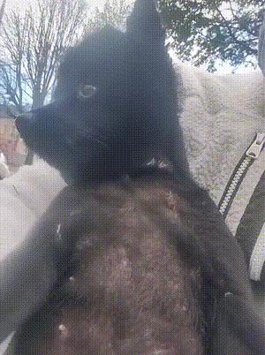 送命题女生回答问题,女朋友难产送命题