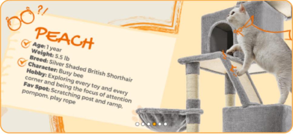 打造婴幼儿行业高端品牌,打造儿童童装品牌集合店