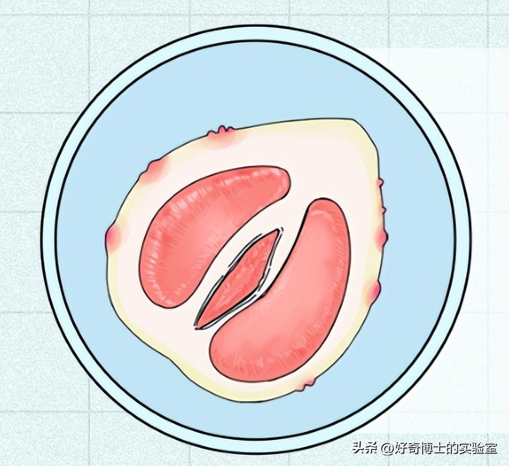 *生活性**后，身体发生这5个变化正常吗？