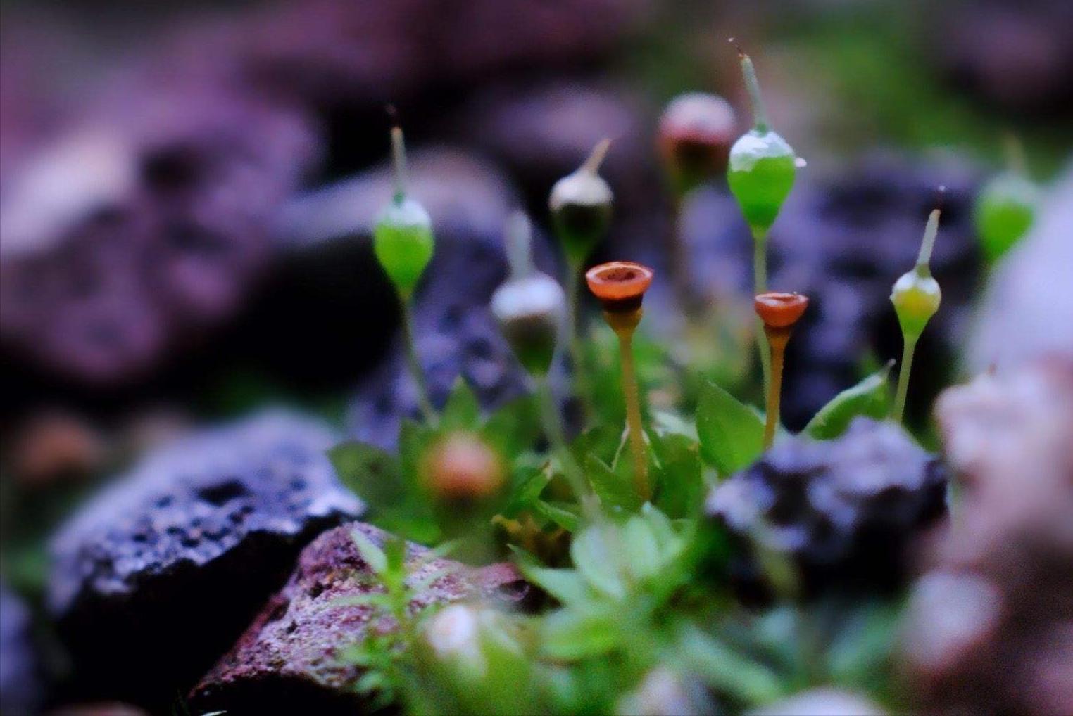 坚持初心的古诗词经典,关于自信乐观的诗词