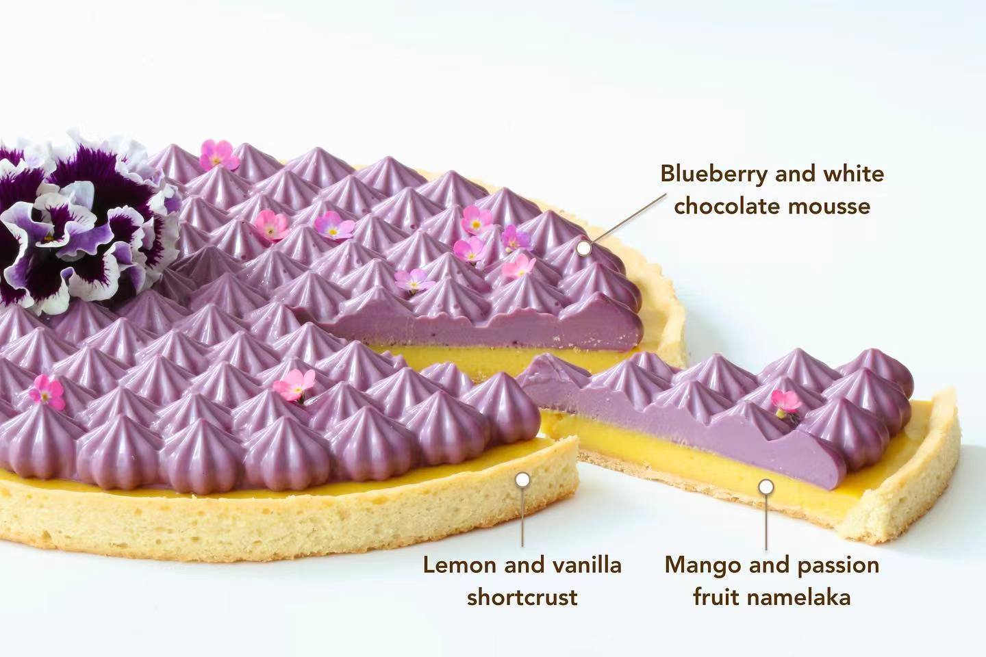 蛋糕切面,蛋糕两层夹心切面图片
