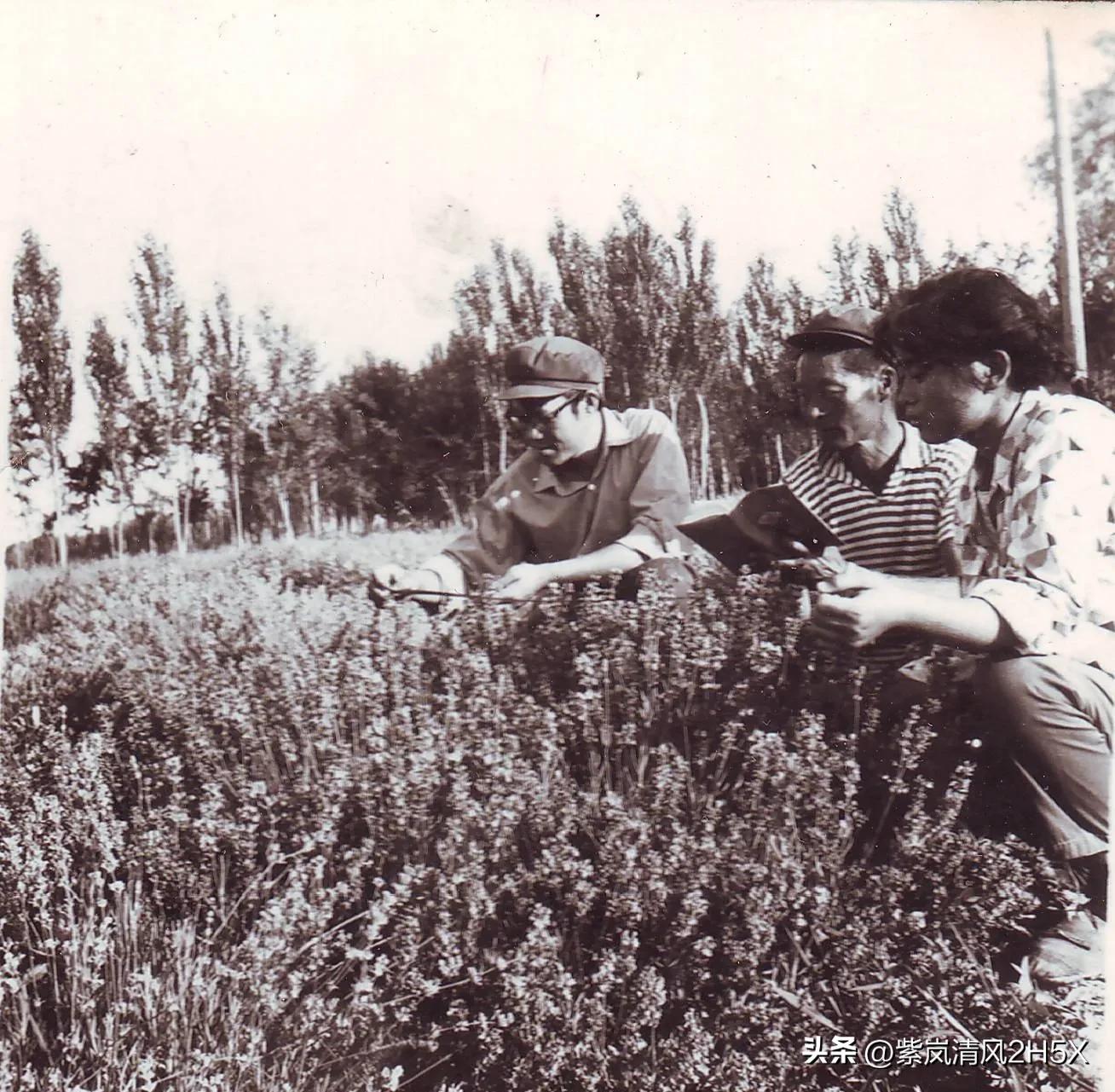 伊犁大地盛开的精神之花