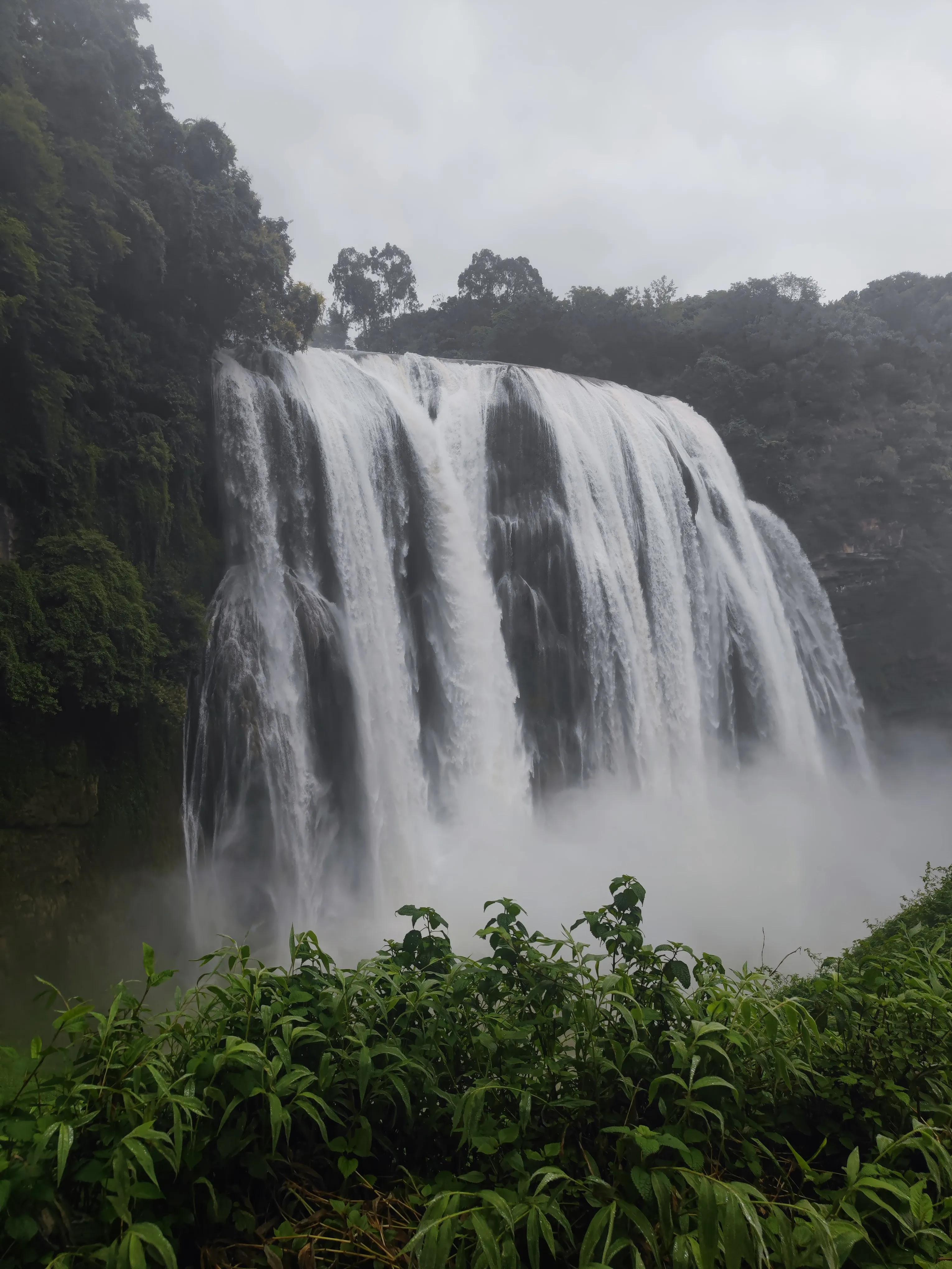 多彩贵州黄果树茅台酒,多彩贵州我的家黄果树