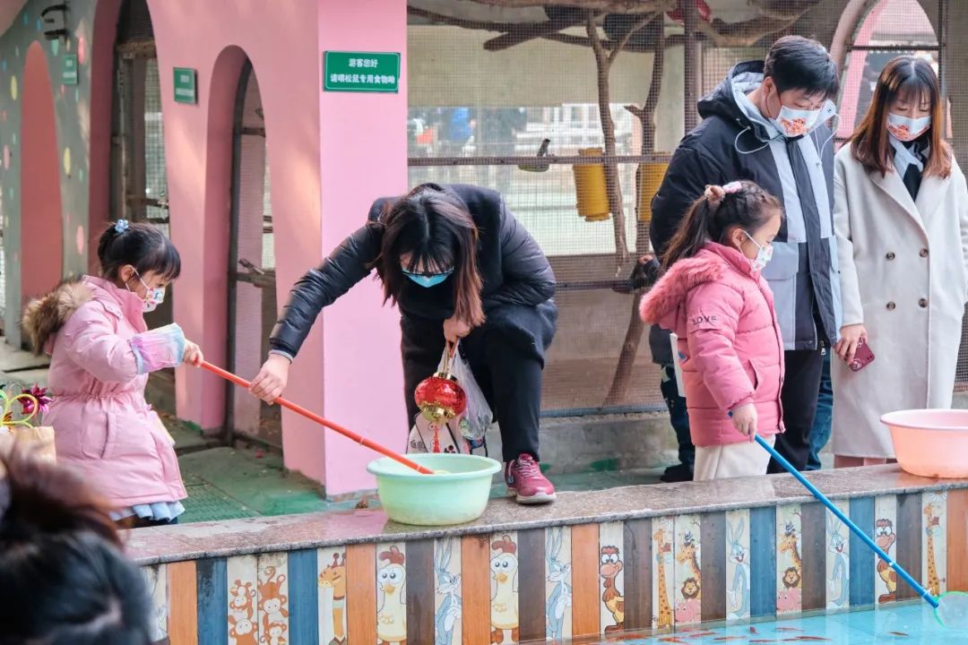 红山动物园亏损3千万网友很着急,近两年疫情原因导致亏损如何翻身