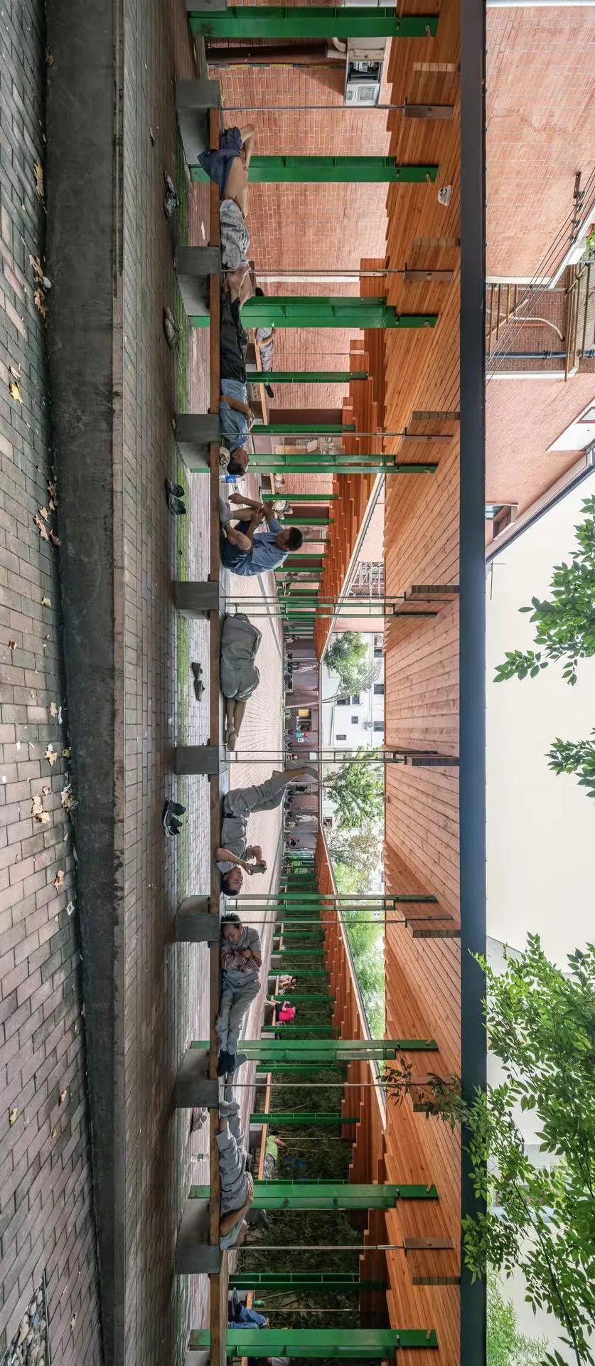 上海市白玉兰荣誉奖,上海白玉兰荣誉奖2020