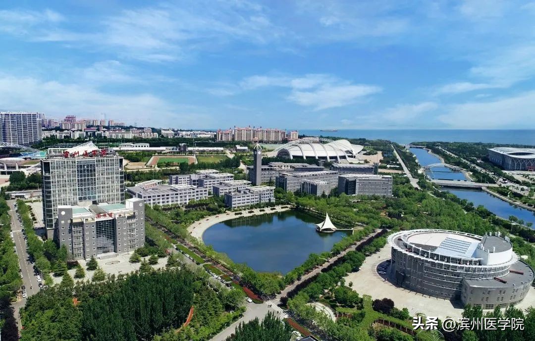 滨州医学院2023年本科招生计划,2020年滨州医学院招生计划一览表