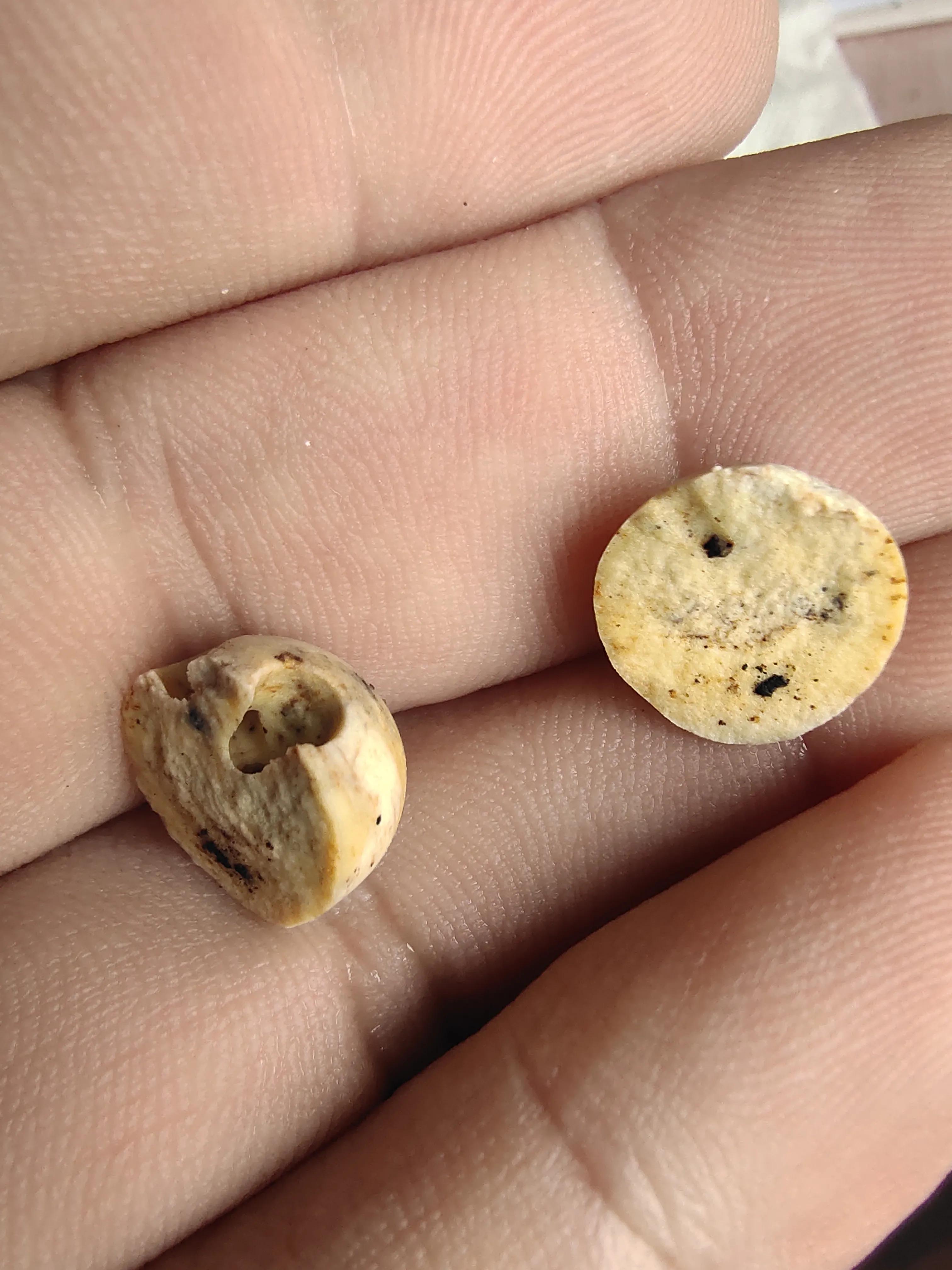 试论高古玉标本是如何毁灭的