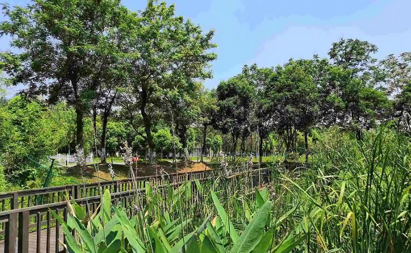 南京免费景点排行榜前十名,南京旅游年卡免费景点一览表