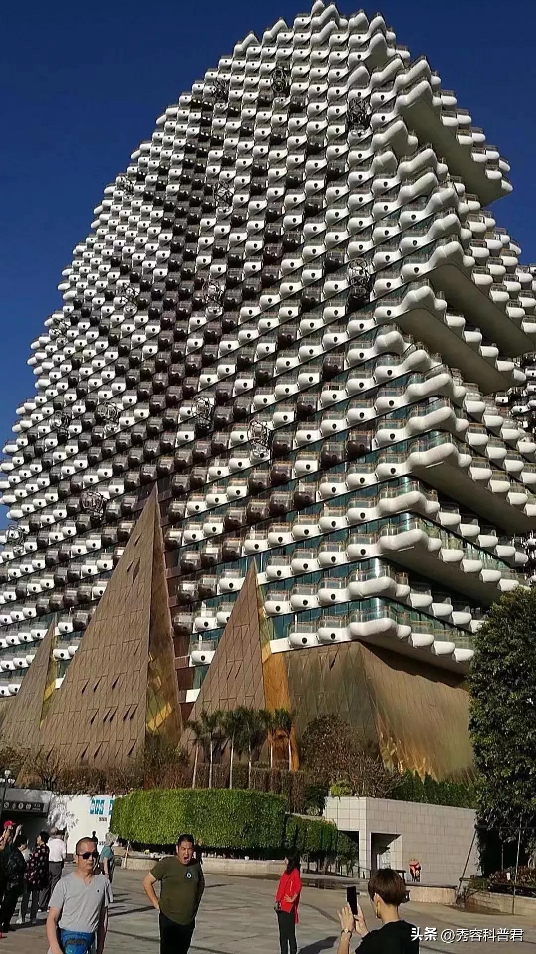 黑白老鼠的爱情故事,黑白老鼠寓意