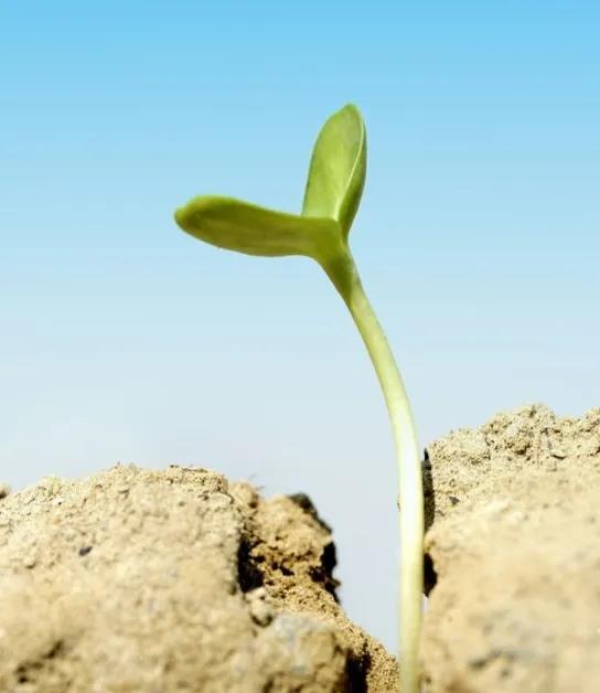 无名之辈中国足球,周而复始的中国足球