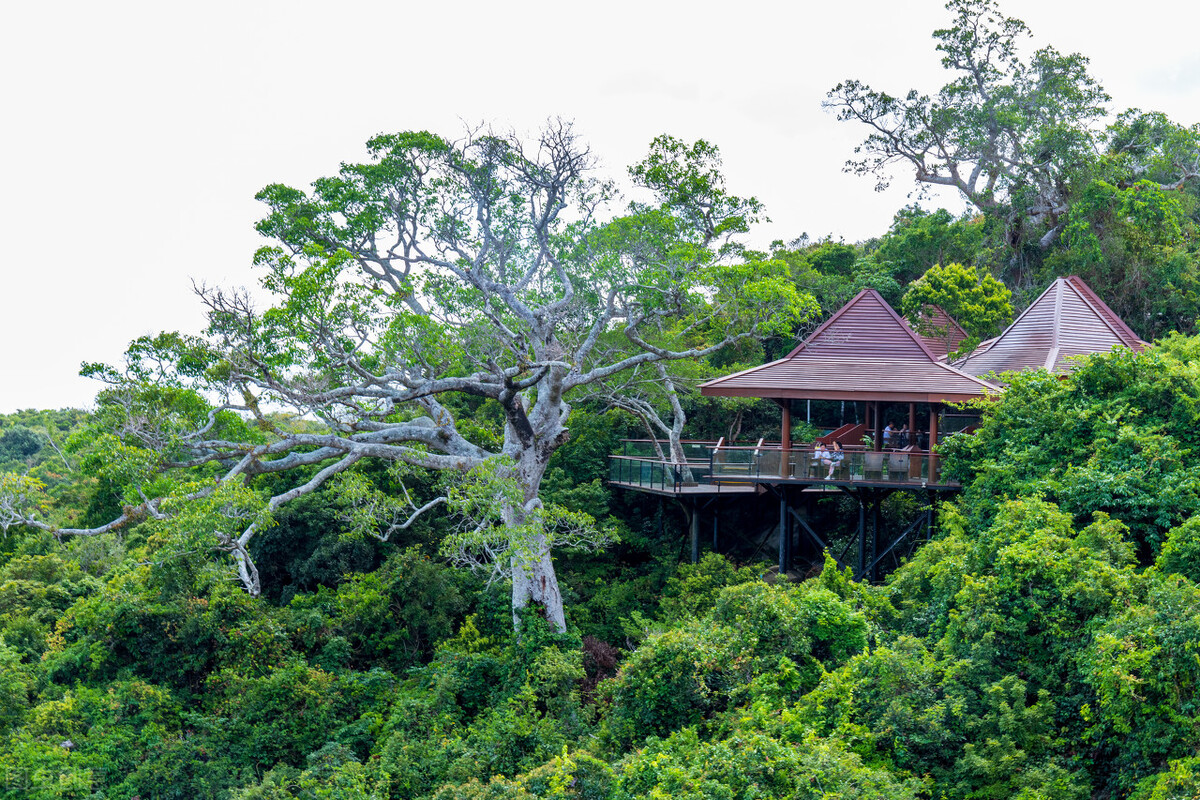 潍坊到三亚旅游攻略7天6晚旅游团,三亚旅游三天两晚详细美食攻略