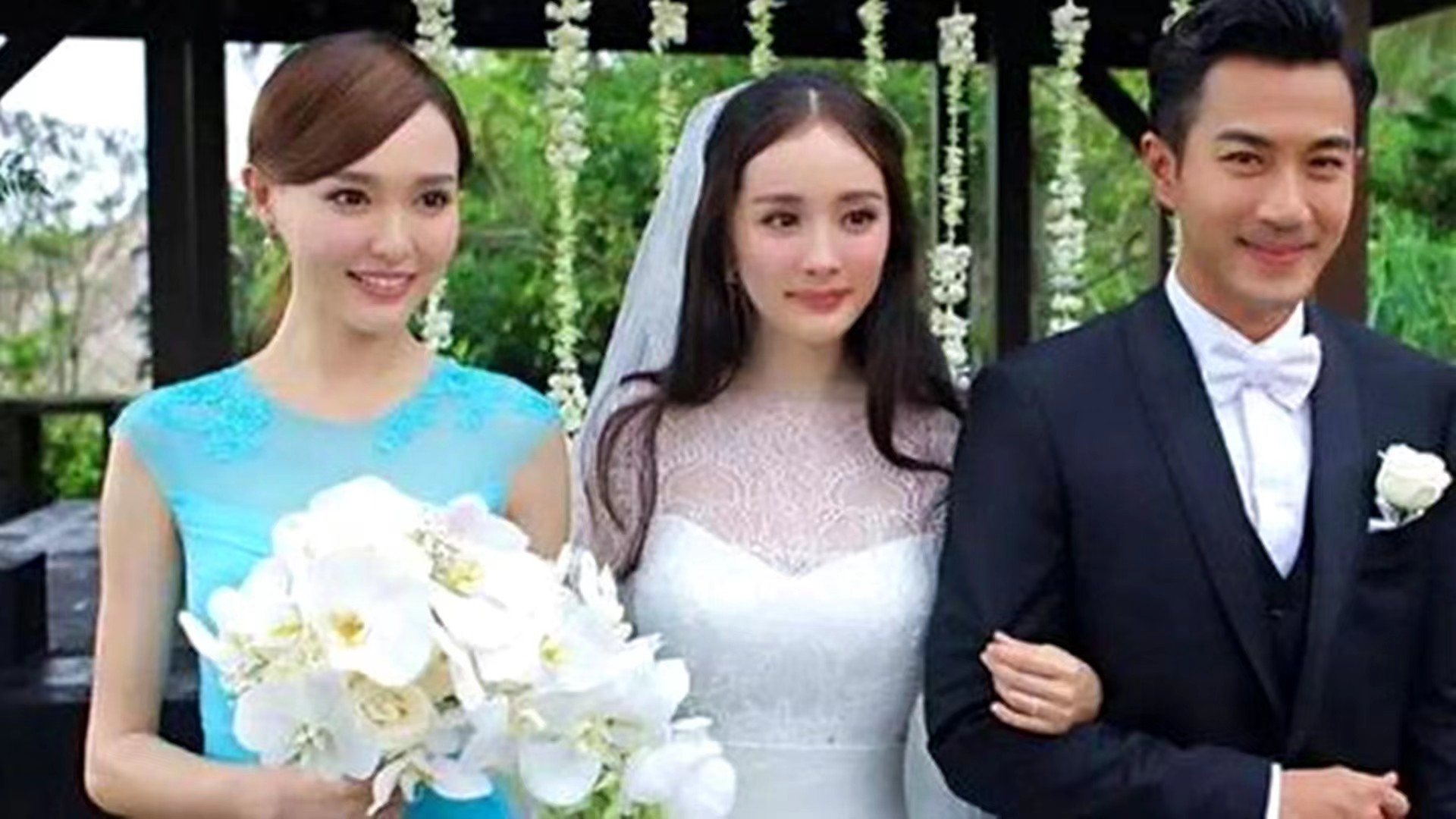 彩带落在杨紫身上肖战反应,彩带掉在女明星礼服上