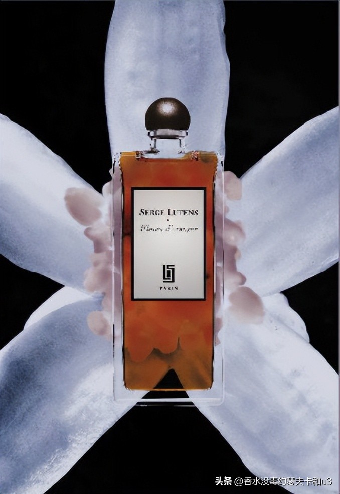 夏日香水,夏日香水有哪几种