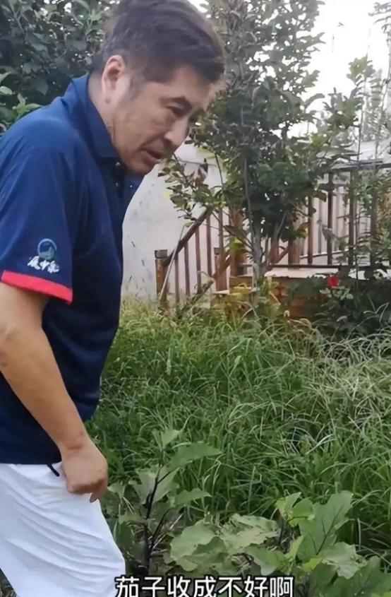 来内地养老的七位港星：农村盖大别墅，免费坐公交，生活很滋润