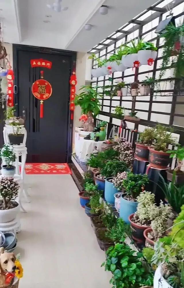 摊上这样的邻居,摊上这种邻居