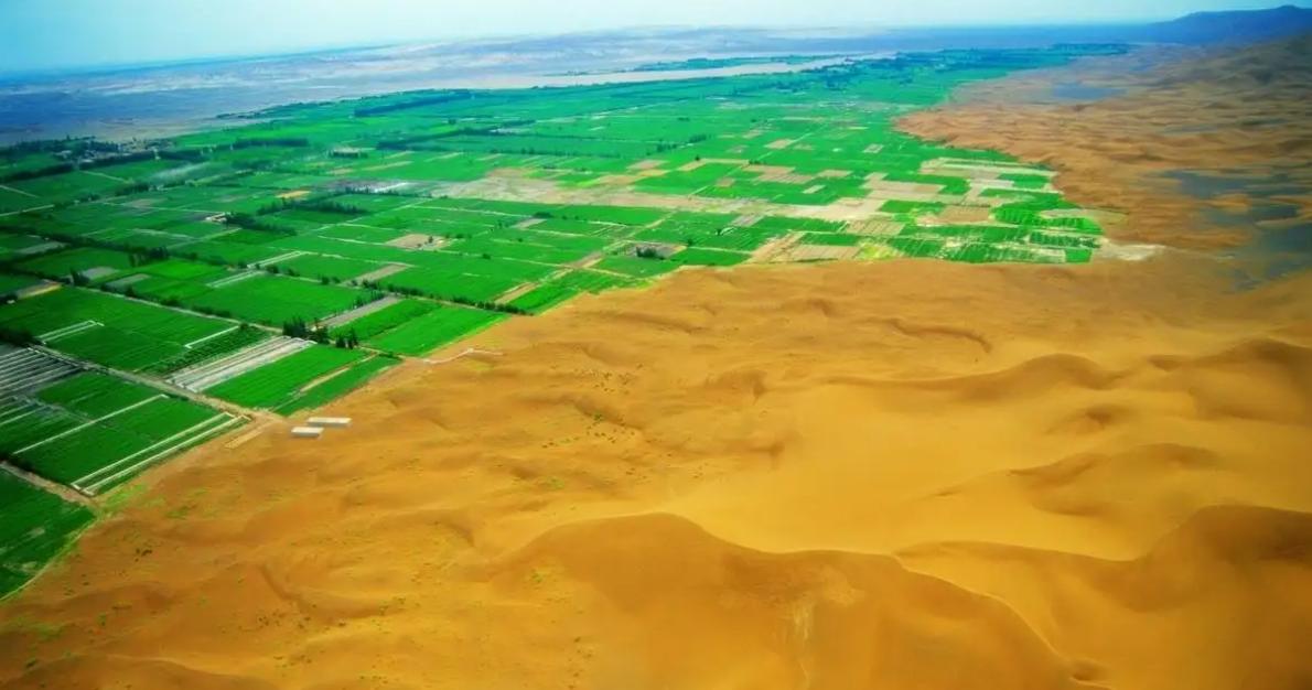 南极冰鱼为什么会苦,南极鱼能在冰天雪地中健康生长