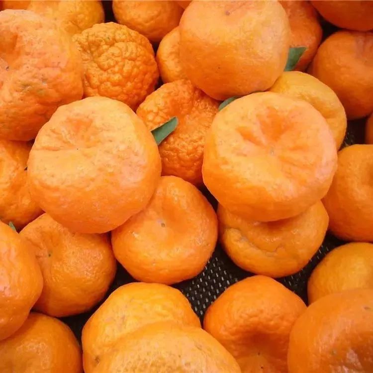 闈掔鏃呮父,鐪夊北闈掔