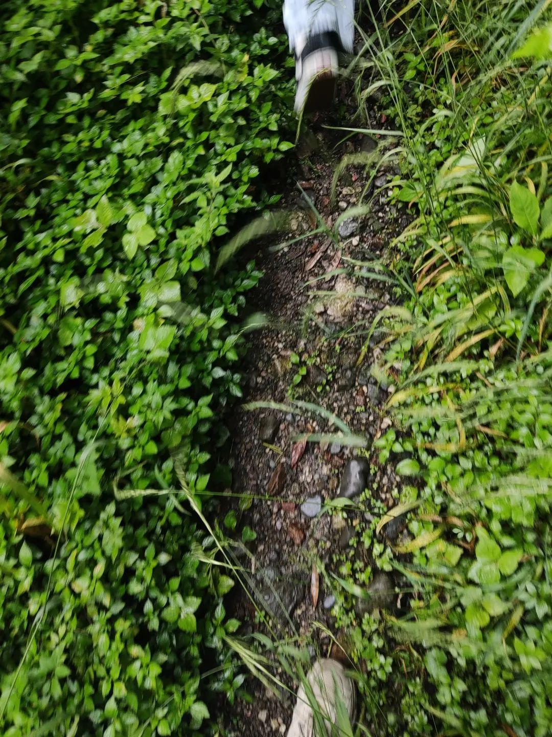 崇州山里新发现的天然景区,崇州的田园风光