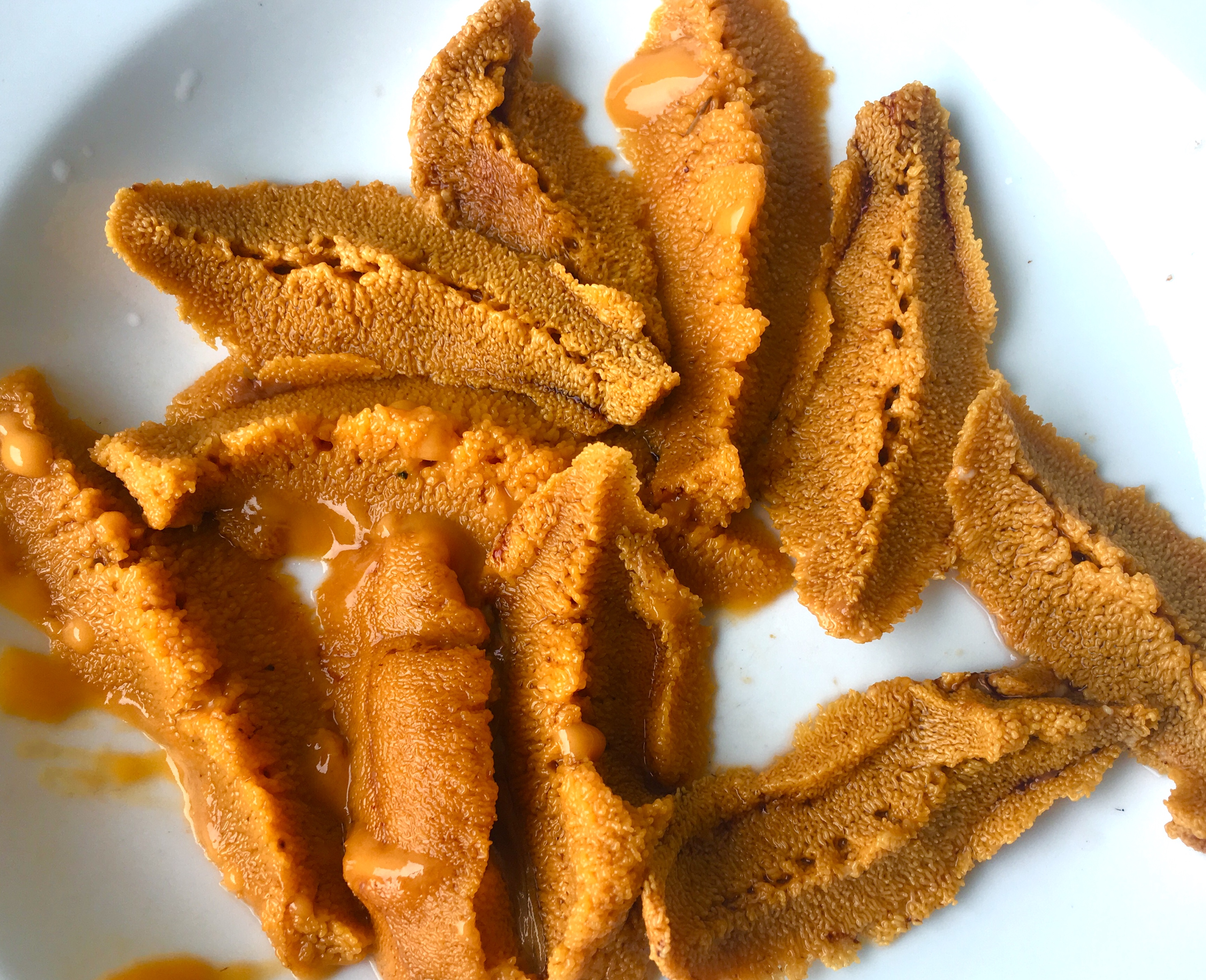 智利的海鲜便宜吗,智利海鲜市场