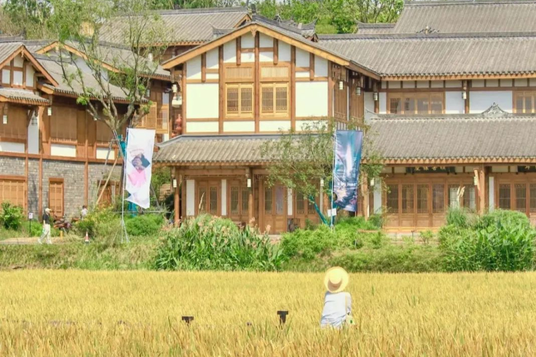 成都地铁9号线打卡景点大全,成都地铁3号线打卡景点