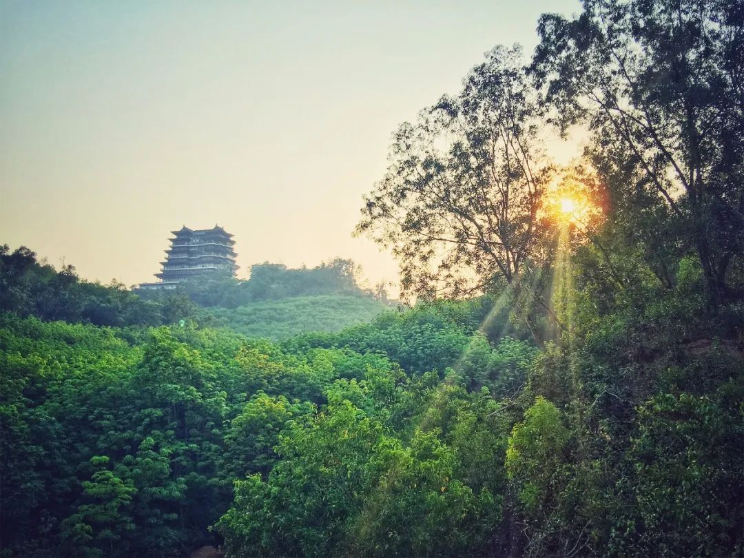 冲上热搜！全长1000公里的最美公路，带你了解新晋避暑胜地的黑马