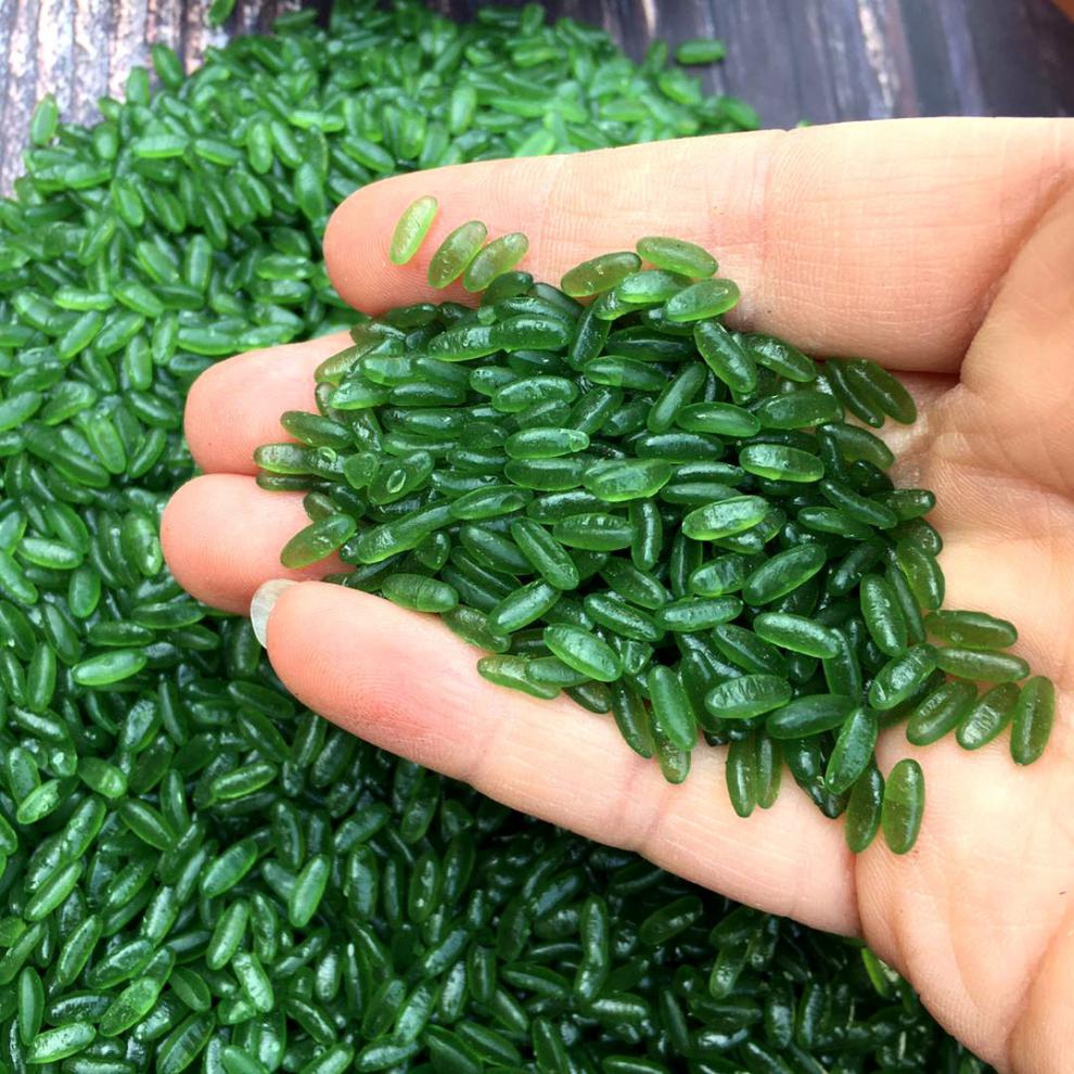 性价比高的健康大米,便宜大米营养价值