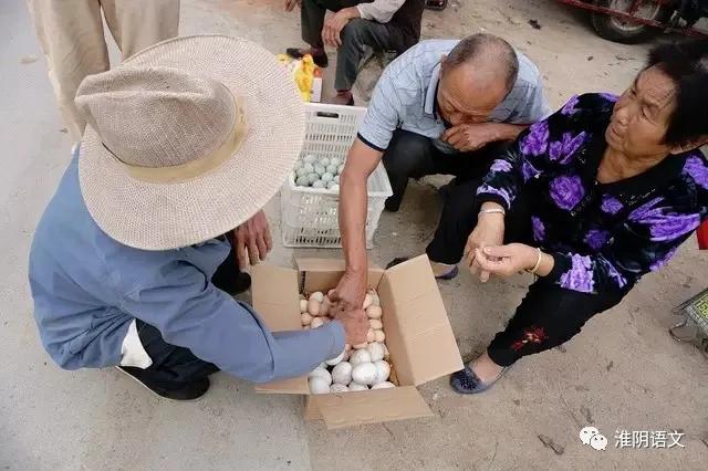 春天的寻找,新年的期许