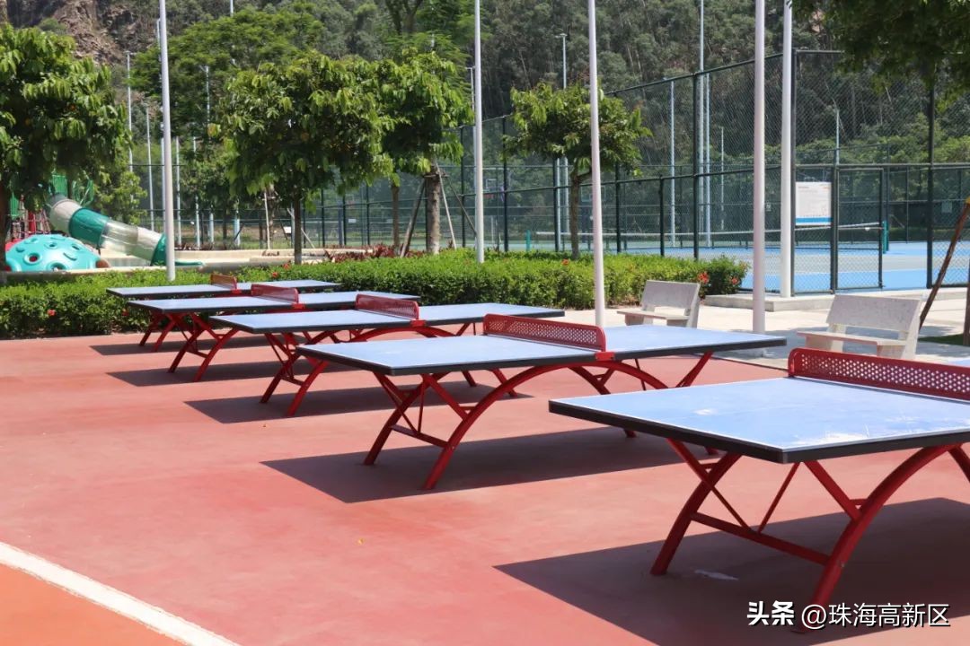 *光春**明媚！来高新区赴一场乐享山海之旅！