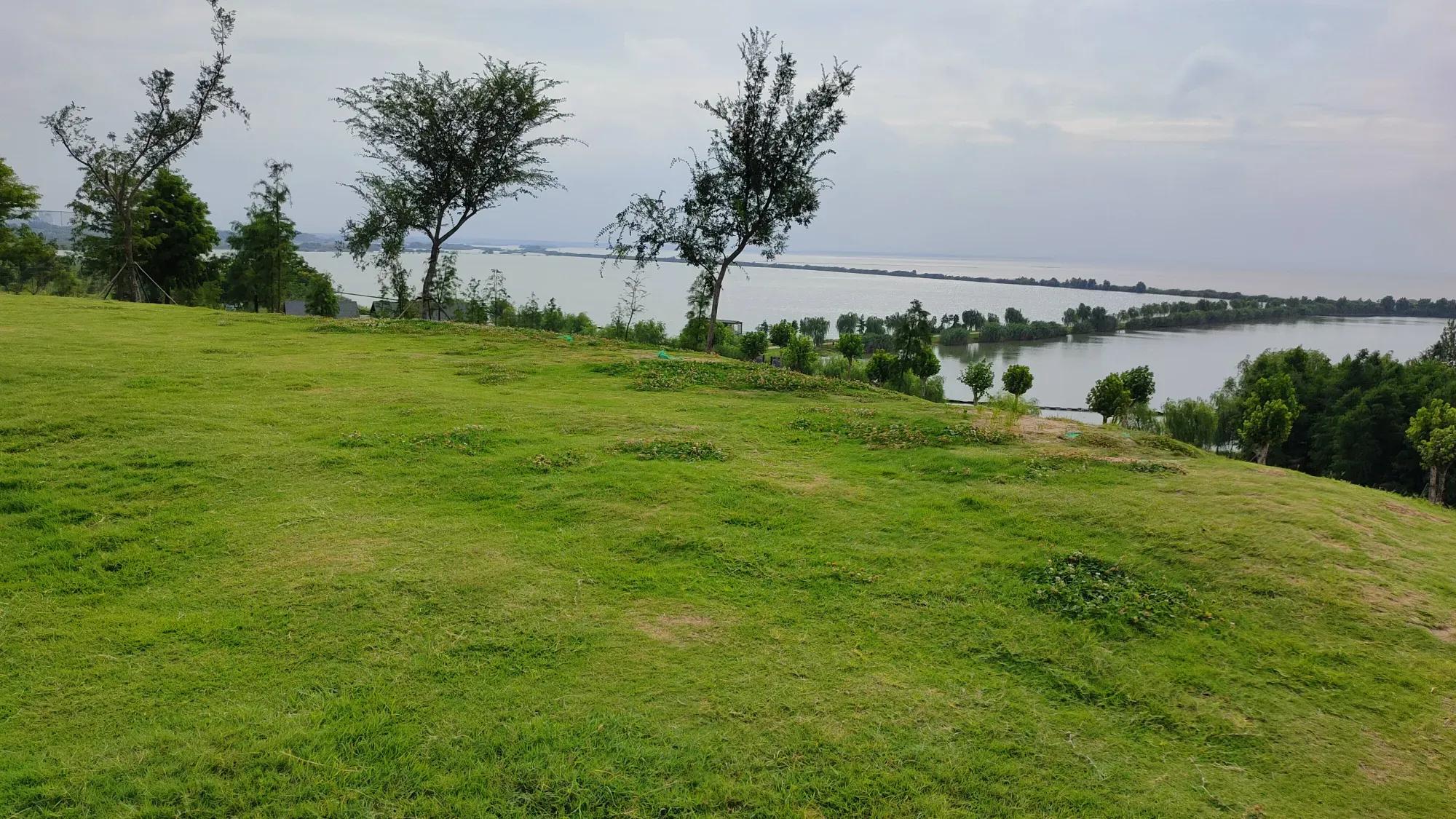 合肥旅游景点大全排名榜前十名,合肥市区旅游攻略必玩的景点