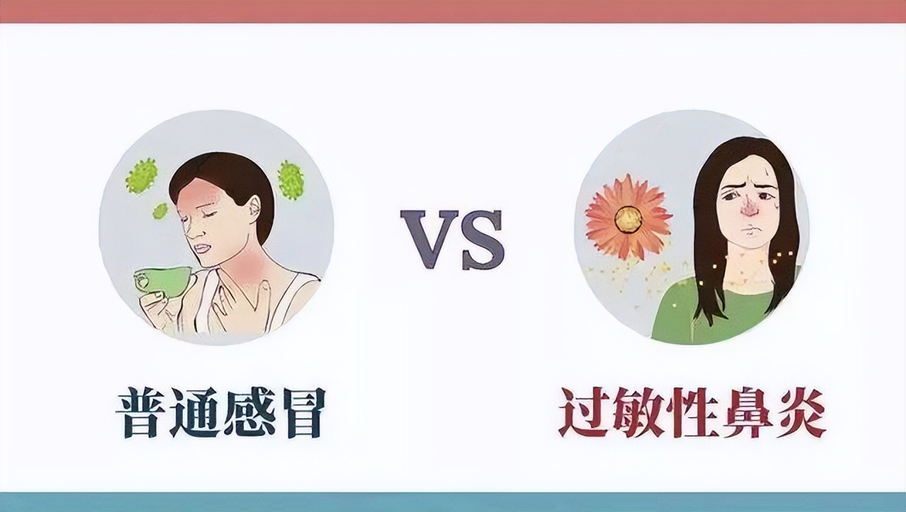 过敏性鼻炎中医能除根吗,中医鼻炎怎么治疗彻底除根