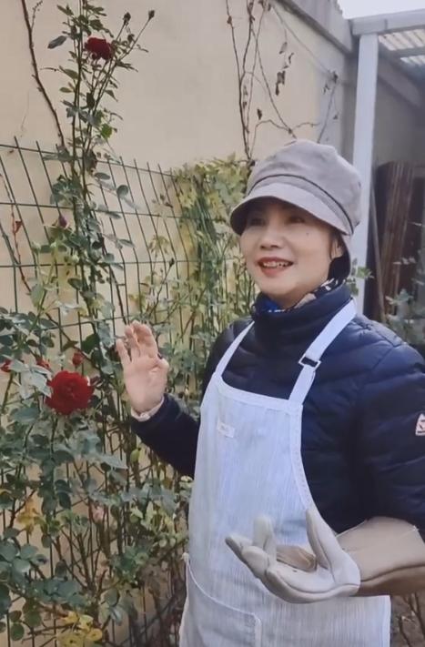 徐俐：变身农村大妈，对小花园进行冬季“修剪施肥保温”养护管理