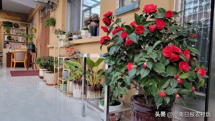 林州创建文明典范城市,林州创文明城市成功了吗