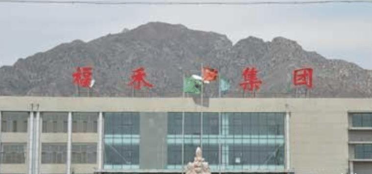 金利斌怎样从摆地摊做到亿万富翁,金利斌的一生