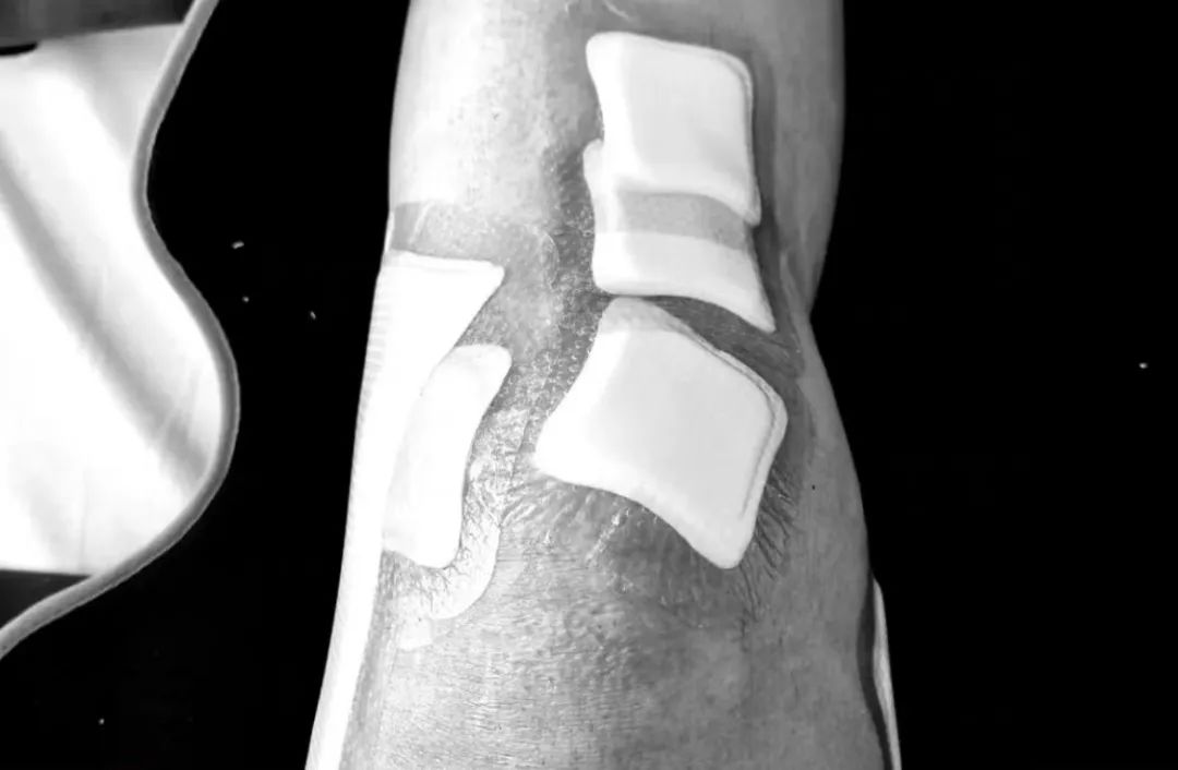 足球少年|西外苟旭辉:狗哥,捡下球